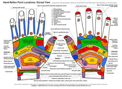 Reflexology Charts for Student Study and Practitioner Guidance